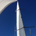 IMG_6978
